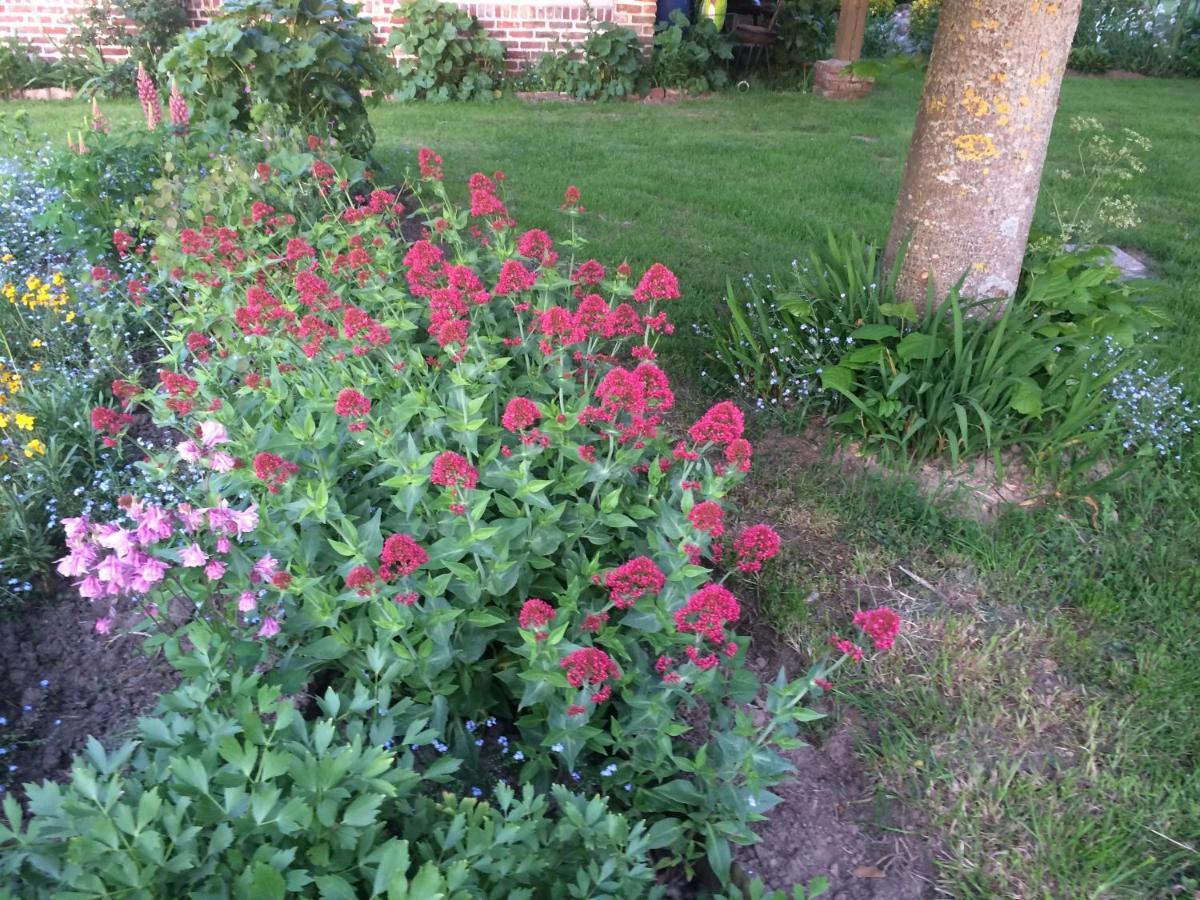 Vila Les Coquelicots Nibas Exteriér fotografie